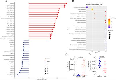 Therapeutic potential of Xihuang Pill in colorectal cancer: Metabolomic and microbiome-driven approaches